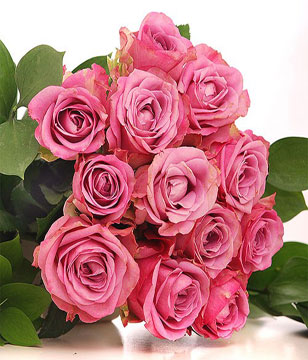 Bouquet of 12 Pink Roses 