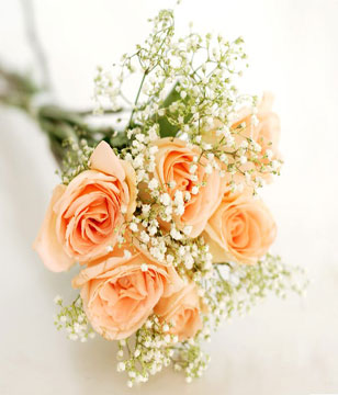 6 Peach Roses with Fillers