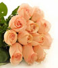 Dozen Peach Roses in a Bouquet