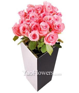 24 Pink Roses In Vase 