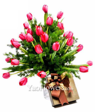 Red Tulips With Chocolate 