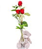 3 Red Roses & Bear 