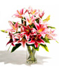 Pink Lilies