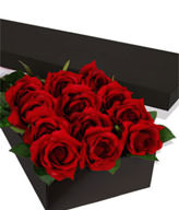 12 Long Stem Premium Rose Bouquet