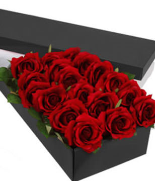 18 Premium Roses (Long Stem)