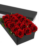 18 Premium Roses (Long Stem)