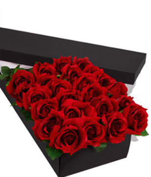 24  Premium Roses (Long Stem)