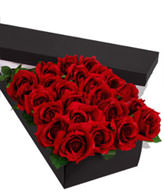 24  Premium Roses (Long Stem)