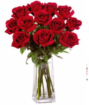 12  Premium Rose (Long Stem) & Vase