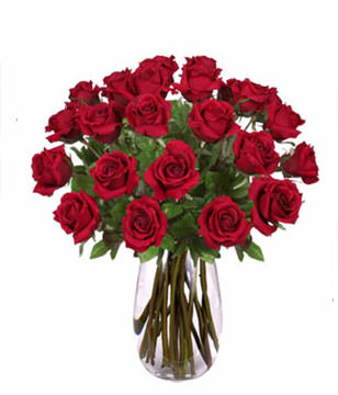 24 Premium Rose (Long Stem)
