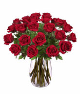 24 Premium Rose (Long Stem)