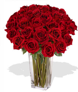 36 Premium Rose (Long Stem)