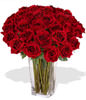 36 Premium Rose (Long Stem)