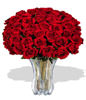 48 Premium Rose (Long Stem)