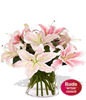 2 Asiatic Lily Stems