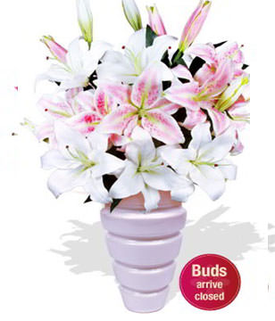 3 x Oriental Lily Stems,4 x Asiatic Lily Stems