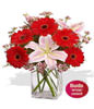 1 x Asiatic Lily Stems,5x Gerberas