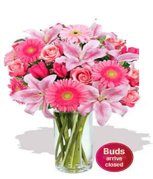 10 x Premium Roses (Long Stem),6 x Premium Gerberas