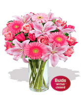10 x Premium Roses (Long Stem),6 x Premium Gerberas