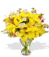 5 x Roses bud,3 x Asiatic Lily Stems