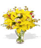 5 x Roses bud,3 x Asiatic Lily Stems