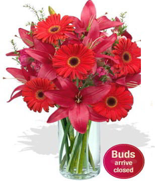 5 x Gerberas,2 x Asiatic Lily Stems
