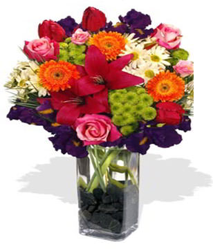 1 x Asiatic Lily Stem,3 x Gerberas,Iris,Tulips