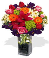 1 x Asiatic Lily Stem,3 x Gerberas,Iris,Tulips