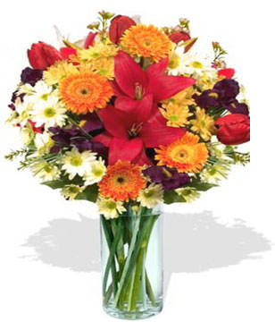 4 x Gerberas,3 x Tulips ,Lily