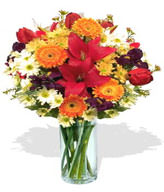 4 x Gerberas,3 x Tulips ,Lily
