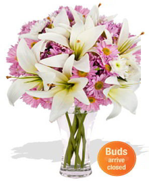 4 x Asiatic Lily Stems
