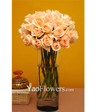 Two Dozen Pink Roses With a Vase
