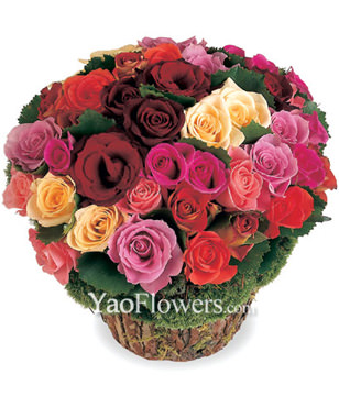 56 Mixed Roses