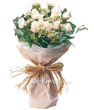 12 Stems Champagne Roses, Ornithogalum