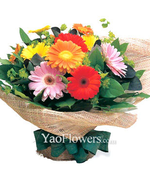 12 Mixed Gerbera, Mini-Gerbera, Salal