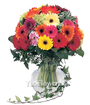 36 Mixed Gerbera With a Vase