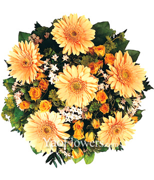 6 Orange Gerbera, 18 Orange Rose