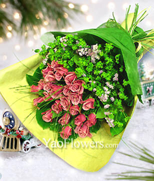 24 Purple Roses