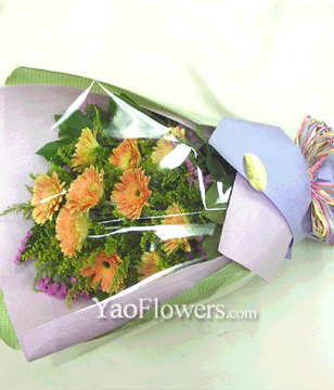 12 Orange Gerbera Daisies