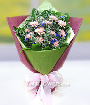 12 Pink Carnations