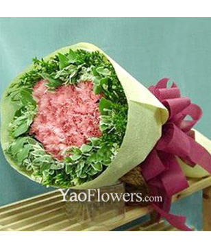 24 Pink Carnations