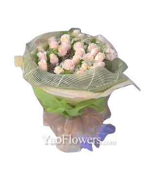 18 Pink Roses