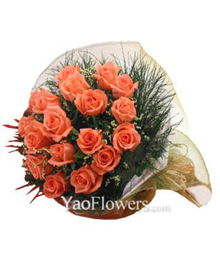 18 peach Roses