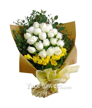18 White Roses