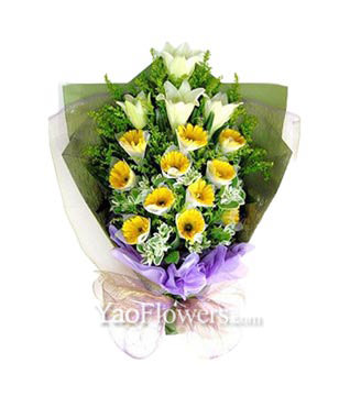 11 Gerberas and 2 Lilies