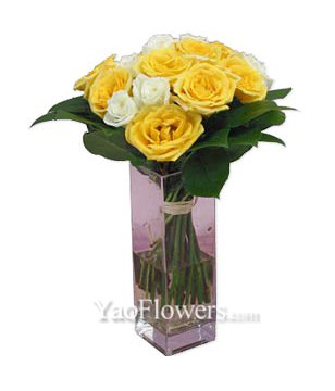 12 Roses With a Vase