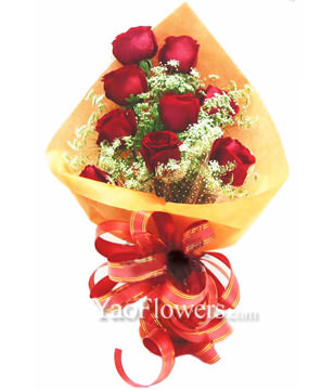 9 Red roses with baby's breath