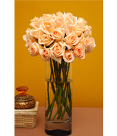 Two Dozen Pink Roses With a Vase
