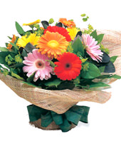 12 Mixed Gerbera, Mini-Gerbera, Salal