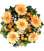 6 Orange Gerbera, 18 Orange Rose